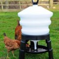 The Tripod Drinker 30 ltr